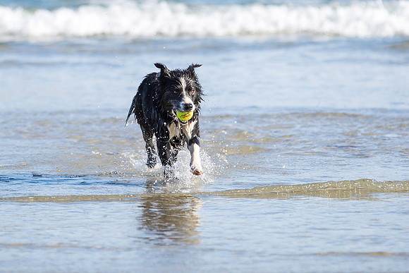 _92A6917