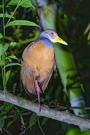 312A8577-Edit