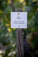 Big Bear/Temecula 8-28-2026