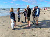 L&J Beach