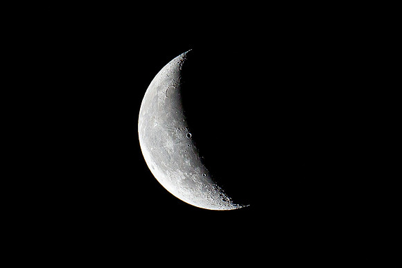892A6836